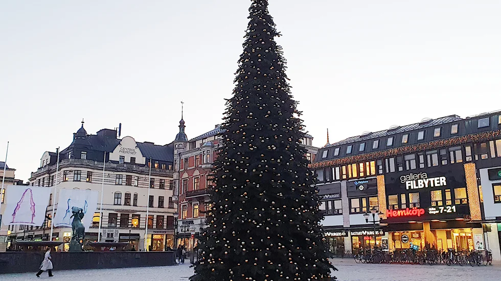Nu är jättegranen på Stora torget på plats. Den är högst i Sverige i gruppen "artificiella juleträd."