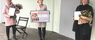 Gunilla Lange får Eskilstuna kommuns jämställdhetspris
