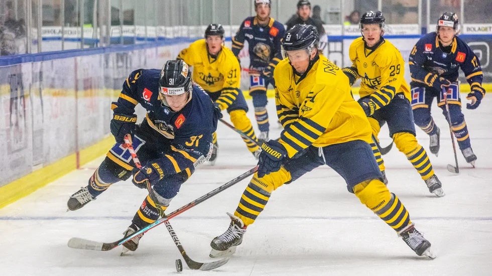 De två senaste säsongerna har Hedlund spelat för Gotlandslaget Visby/Roma där han den här säsongen har stått för 10 mål och 6 assist på 36 matcher.