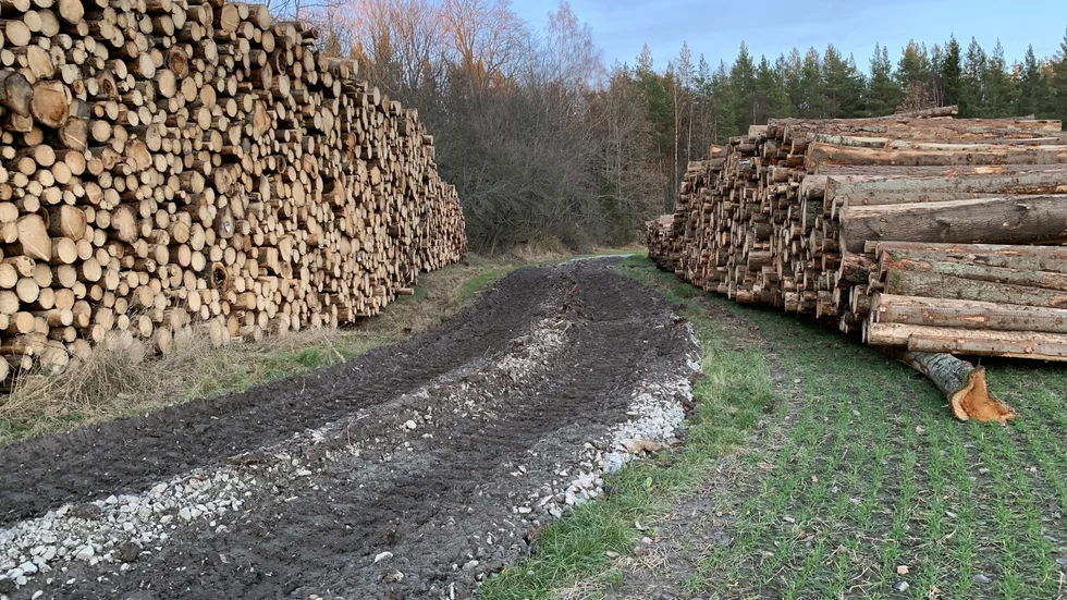 Insändarskribenten är upprörd över förödelsen i Janstorps naturreservat.