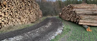 Förödelsen i Janstorp naturreservat