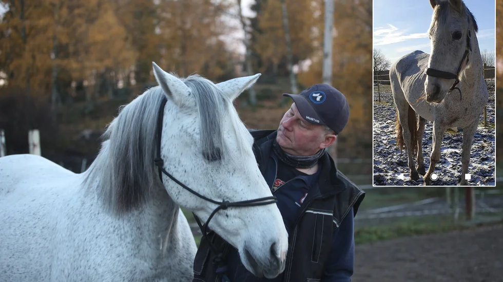 Det är åtta månader och två helt nya liv mellan bilderna. Sigge Turski har räddat livet på Paris och hon har gett hans liv en ny mening sedan sjukdomen slog till.
