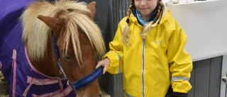 Travkul på höstlov för barn i Boden