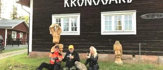 Kronogård kan komma att säljas igen