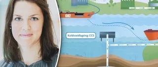 Tre av landets största utsläppsbovar verksamma på ön