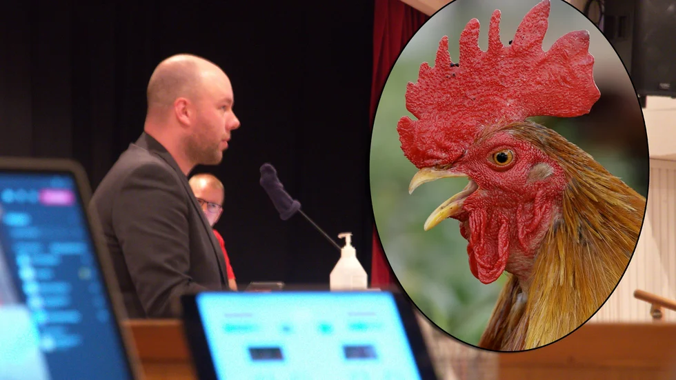 Kommunalrådet Johan Rocklind (S) har satt stopp för störande tuppar i Gnesta.