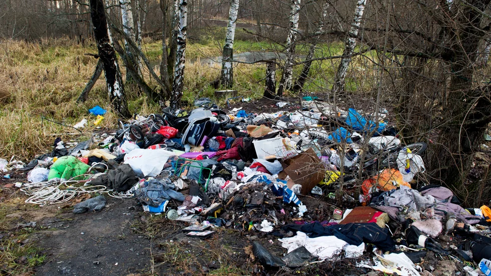 Allt fler uppfattar nedskräpning som ett växande problem. Stök och skräp leder också till minskad trivsel och ökad otrygghet som gör att folk drar sig undan från vissa områden.