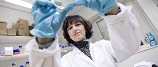 Nobelpristagaren i lång intervju: Emmanuelle Charpentier hyllar Umeå universitet – ”Gav mig tillit och förståelse”