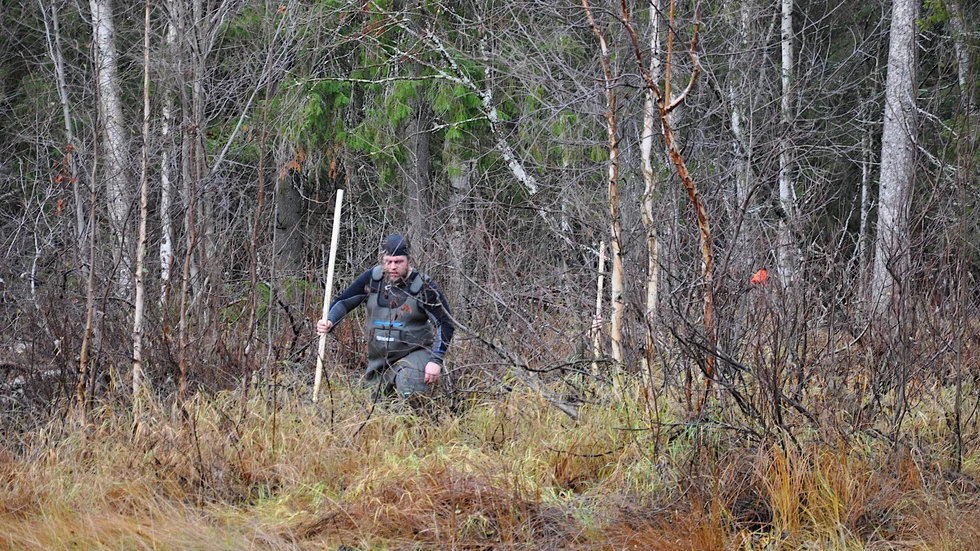Så här snårig är terrängen som ligger i anslutning till stugan på den så kallade udden.
