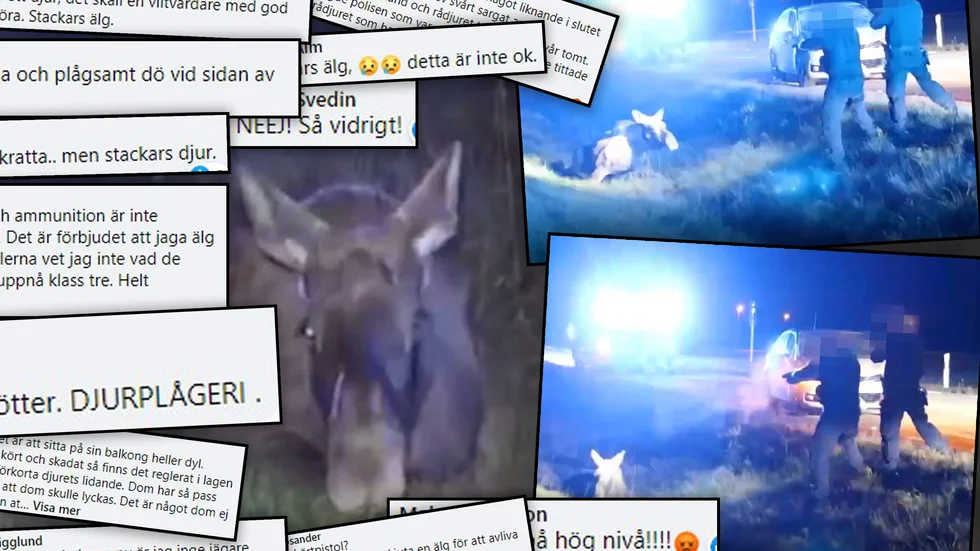 Reaktionerna hos UNT:s läsare har varit starka efter publiceringen av videon där polisen avlivade en älg.