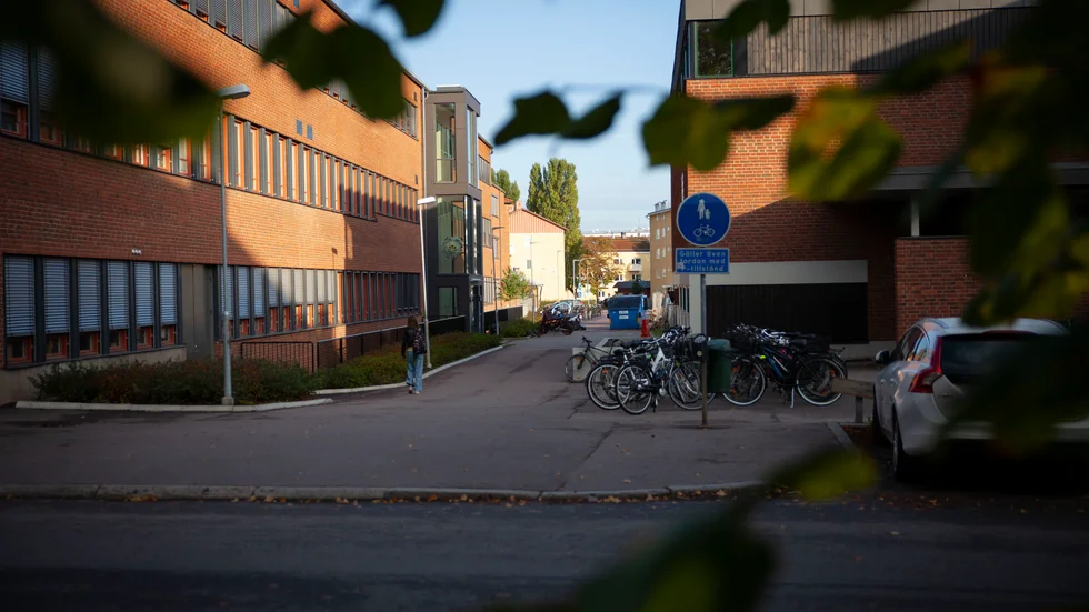 Skolnämnderna behöver vara beredda att permanent omplacera elever som skapar otrygghet för andra på sin skola, menar debattörerna.
