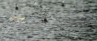 Varrför måste vi vänta i regnet?