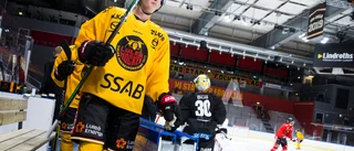 Uppgifter: Jättetalangen kan lämna Luleå – för att få mer speltid