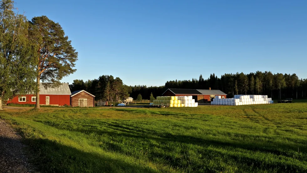 Ordning och reda inför vintern hos bonden på Trundön.