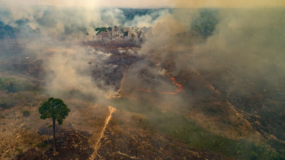 Brasilien har även i år drabbats av omfattande bränder, särskilt i områden med mycket mänsklig aktivitet. Bild från en brand i Novo Progresso i delstaten Pará i norra delen av landet i slutet av augusti.