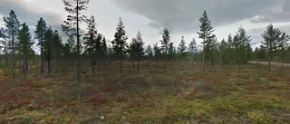 Ägarbyte för skogen på Keräntöjärvi 1 i Junosuando
