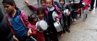 Egypten öppnar gränsen till Gaza