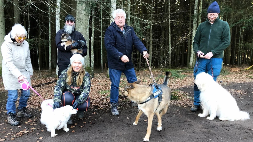 Söndagens hundpromenad var planerad till 4,15 km och 1,5 timme. "Vi ska gå till 'Södra klinten', säger Bernd. Inge Berg-Eisner, Pelle Wikström Bernd Beckmann, Chrille Nord och Rosis Hagström 