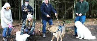 Nya bekantskaper på Ombergs hundpromenader 