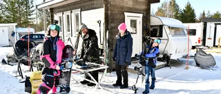 Fler och fler hakar på trenden med spiketält: ”Förgårdar till husvagnar har blivit standard”