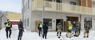 Katter räddades från lägenhetsbrand