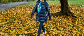 Kerstin vill få folk att leva längre utan pekpinnar