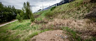 Uppsala ska inte växa för växandets skull