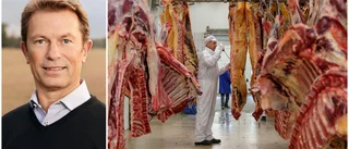 Hjälper verkligen kameraövervakning av slakterier?