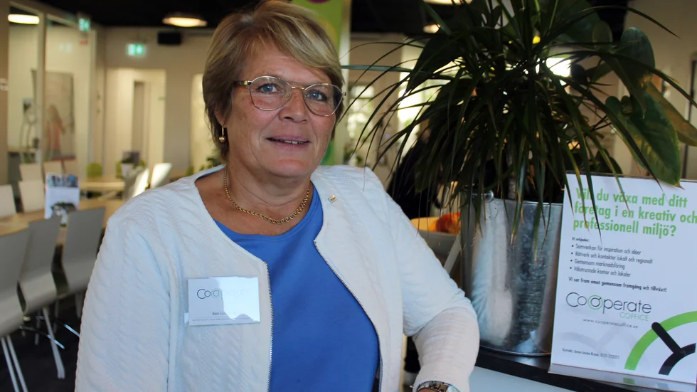 Anne-Louise Kroon, ordförande Stadskärneföreningen, säger att småföretagarna i stan väntat på förbifarten i 20-30 år nu. 
