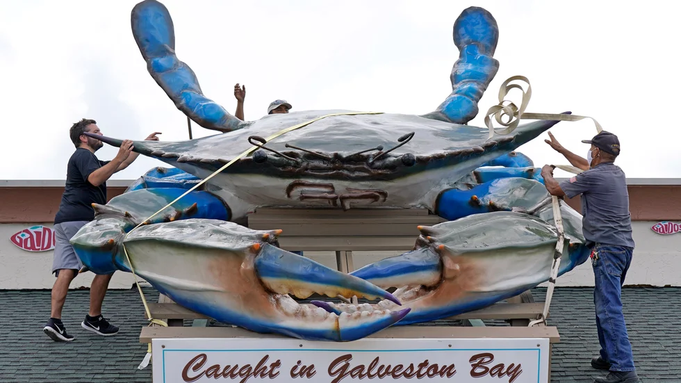 Personal försöker med remmar säkra en gigantisk reklamfigur på Gaido's Seafood Restaurant i Galveston, Texas, inför Lauras ankomst.