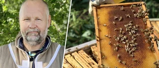 Biodlaren som är allergisk mot bin