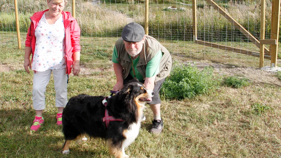 Ragnhild och Jan-Erik Andersson med sin australian shepherd Tazza kommer att vara flitiga besökare i Åkers hundpark.