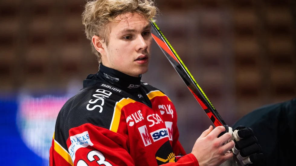 Fabian Lysell, Luleå Hockey.
