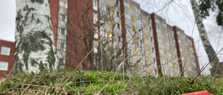 Blev vittne till langning av fyrverkerier: "Det skedde helt öppet"