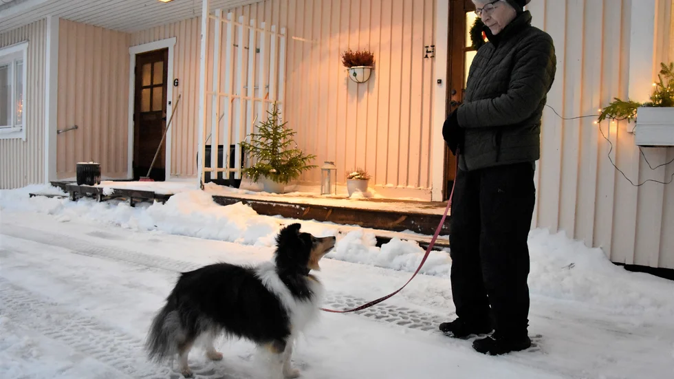 Monika Widenmo menar att det kan gå att träna en hund, som inte är för rädd och till en viss gräns, någonting hon gjort med Aeris.