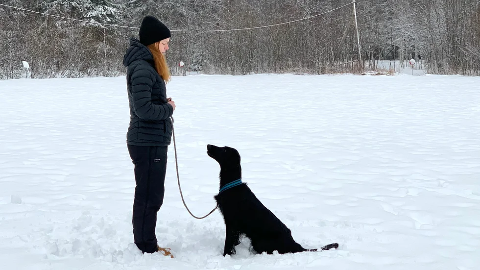 Andrea Stenlund och hunden Exxa är ofta med och tränar med Hundungdom.