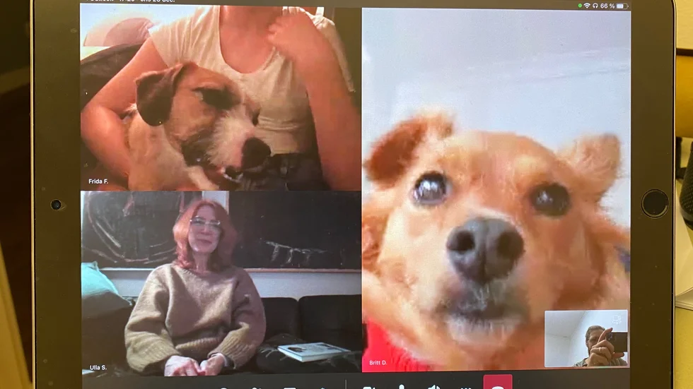 Hunden Terri med sin matte Frida Flores till vänster, Doris med sin matte Britt Åström till höger och arrangören Ulla Solsmo från Vingåkers bibliotek.