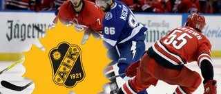 Högerfattad back klar för AIK – ansluter från NHL-klubb