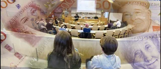 Så mycket får partierna i stöd av skattebetalarna