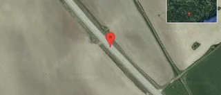 Djur på vägen på väg 52