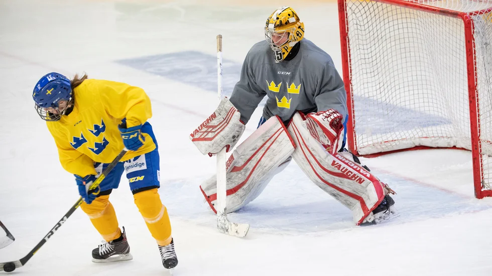 Spelarna i damlandslaget i ishockey har fått ett nytt kollektivavtal. Arkivbild.