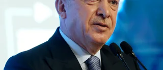 Nya massgripanden i Turkiet