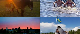 Här är alla läsarnas inskickade sommarbilder från vecka 27