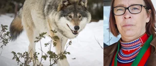 Samernas riksförbund: "Inte rimligt att vänta så länge"