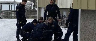 Misstänkt rånare och mordbrännare biten av polishund vid stökigt gripande: "Hotfull situation"
