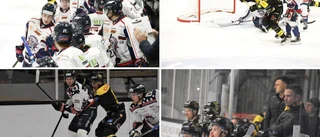 GENOMGÅNG: De VH-spelarna var bäst i hela serien