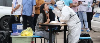 WHO släpps in i Kina efter ett år av virusdöd