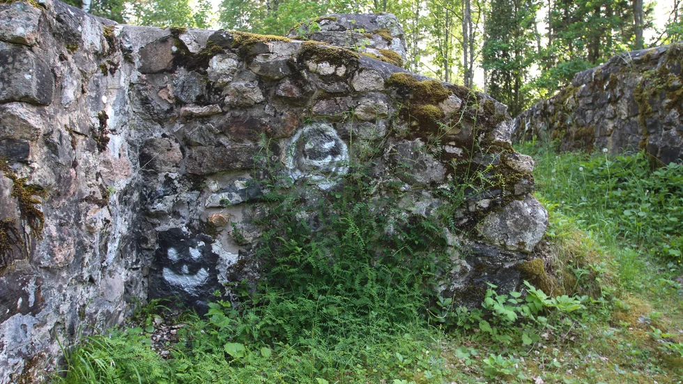 Glada ansikten, men Länsstyrelsen var inte lika glad över klottret på den 700-åriga ruinen. 