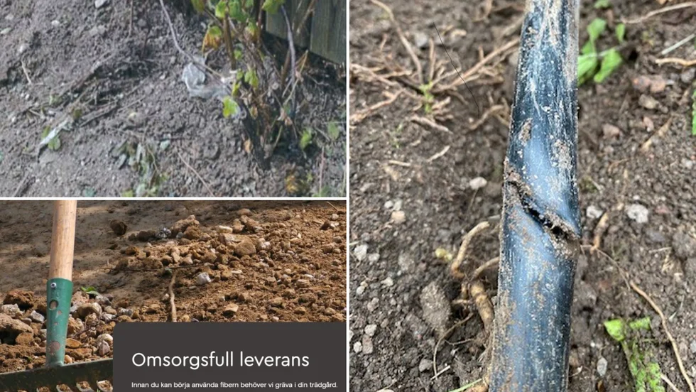 Vattenledningen till sommarvattnet skadades och en bärbuske flyttades i samband med Open Infras "hänsynsfulla" grävning. 