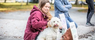 Strejkarna är tillbaka utanför rådhuset